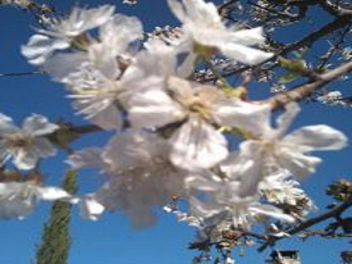 Naturaleza, Confort Y Vistas Inigualable En Casa Rural La Cumbre Гата Экстерьер фото